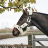 Sheepskin Shipping halter natural Pony