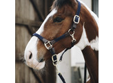 Plaited Nylon halter navy Cob