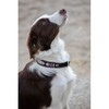Dog collar pearl white/pink 60cm