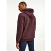 Hoody TH EQ statement men brown S