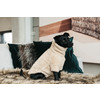 Dog Sweater Teddy fleece XL