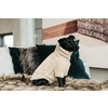 Dog Sweater Teddy fleece XXS