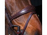 DC.Anatomic Bridle Comb.Black Pony