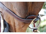 DC.Anatomic Bridle Comb.Black Pony