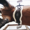 Sheepskin anatomic short girth brown 65 cm