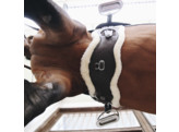 Sheepskin anatomic short girth brown 65 cm