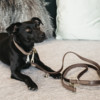 Dog Lead velvet leather brown 120cm