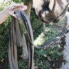 Stallion Lead brown 4m