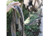 Stallion Lead brown 4m