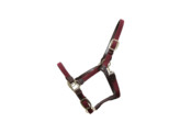 Plaited Nylon halter bordeaux Cob