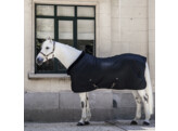 Show rug Black/Black 155  6 9  160g