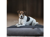Kentucky Dog Bed soft pillow