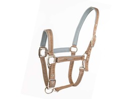 Halter Aurora
