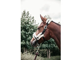 Nylon Sheepskin Shipping halter natural Pony