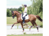 Turnout boots Leather brown hind