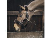 Sheepskin shipping halter brown Cob