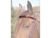 EC.Browband Brown