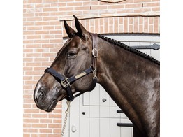 Kentucky Nylon Anatomic Halter