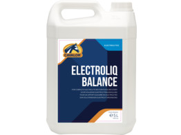 Electroliq balance