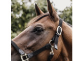 Plaited Nylon halter black Cob