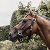 Plaited Nylon halter black Cob