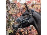 Nylon sheepskin halter grey Full