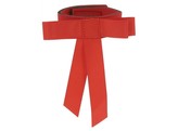 Tail ribbon Red