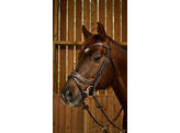 Working Fit Bridle Brown Cob WC