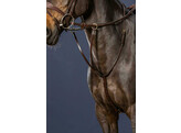 Running martingale brown full D collection