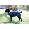 Dog Coat XS 31