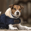 Dog Coat XS 31