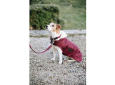 Dog Coat bordeaux S 35