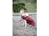 Dog Coat bordeaux XL 62