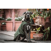 Dog coat waterproof olive green S 35
