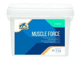 Muscle force