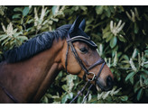 Fly hat Wellington corduroy black