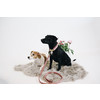 Dog Collar velvet old rose M 36-52cm