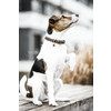 Dog Collar velvet leather M 50cm