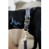 Dog Collar wool grey L 42-68cm