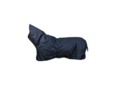 Kentucky Outdoor rug 0g