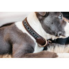 Dog Collar Handmade Pearls silver XL 60-68cm