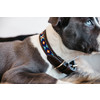 Dog Collar Handmade Pearls blue S 36-42cm