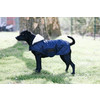 Kentucky Dog Coat