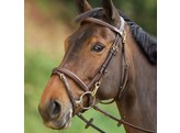 Trainingsbridle incl reins Brown Full HFI