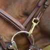 Trainingsbridle incl reins Brown Full HFI