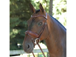 Dressage Bridle Comb noseband Black Full