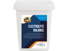 Electrolyte balance 800 g