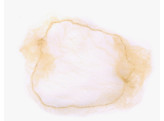 Hairnet bun Blond