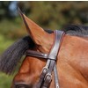WC.Flash noseband bridle  brown  pony