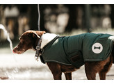 Dog coat waterproof olive green XXS 25